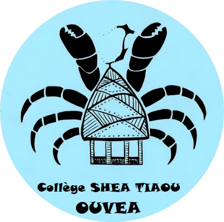 Logo Shea Tiaou
